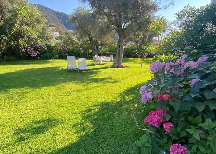 Olivia Chrysi Ammoudia